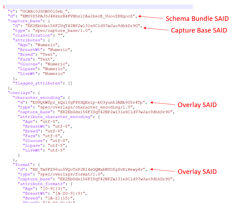 OCA schema JSON bundle showing hashes for overlays and bundle