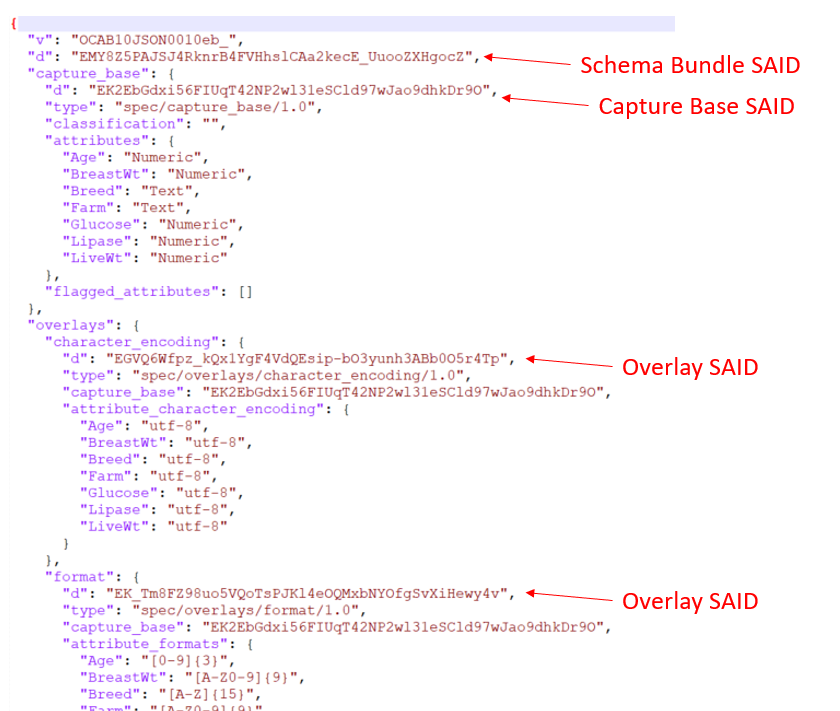 meta.json file contents