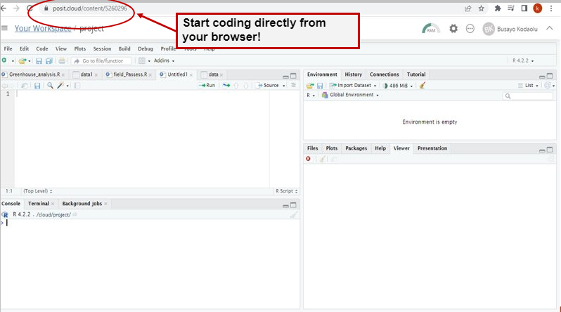 **Posit Cloud IDE looks exactly like your desktop RStudio IDE but directly from your browser**